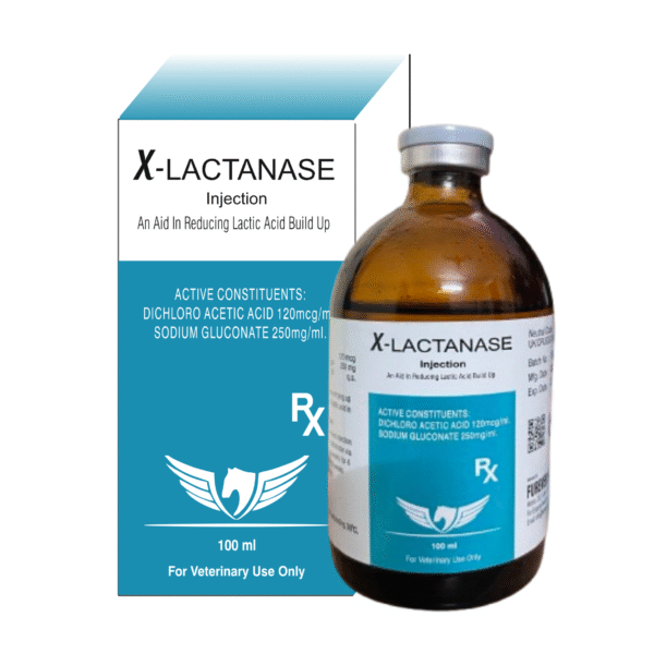 X-LACTANASE INJECTION