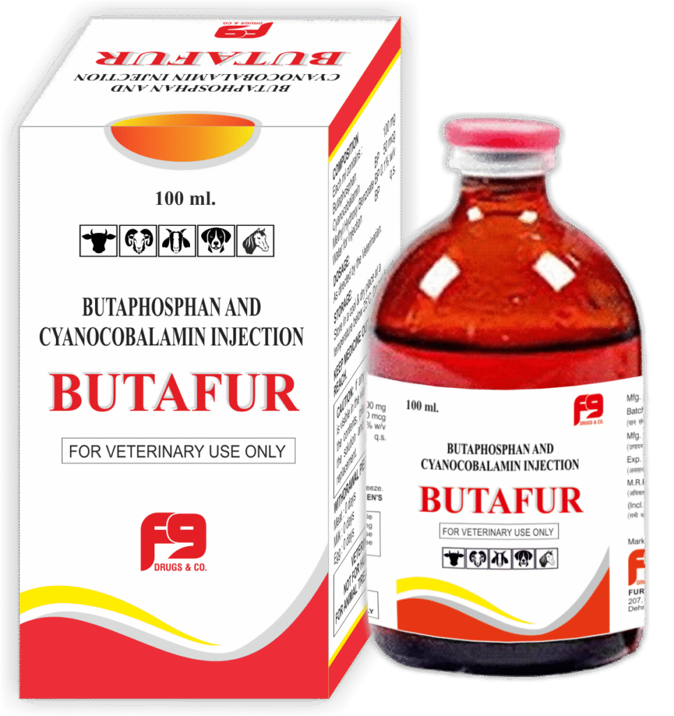 Veterinary Feed Supplement Liquid Exporter Supplier in Turkey