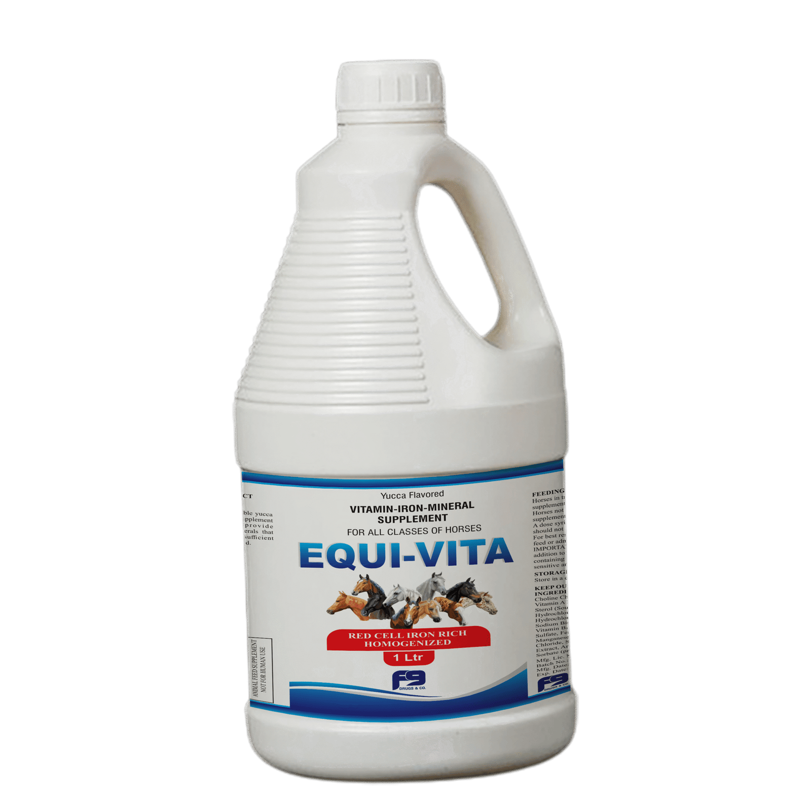13_EQUI VITA