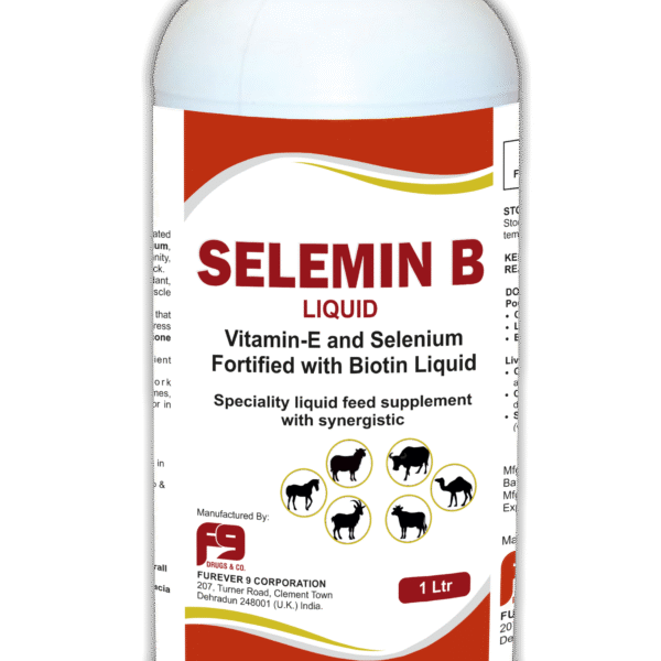 SELEMIN B