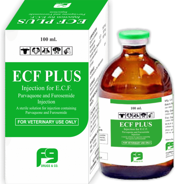 ECF PLUS