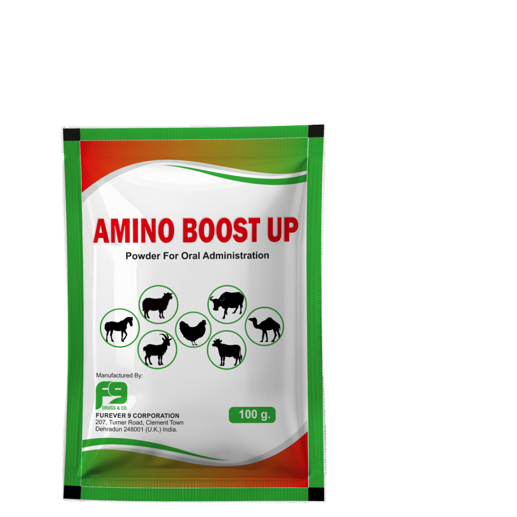 Veterinary Oral Medicine Powder Supplier in Uzbekistan