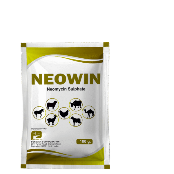 NEOWIN