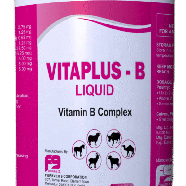 VITAPLUS - B