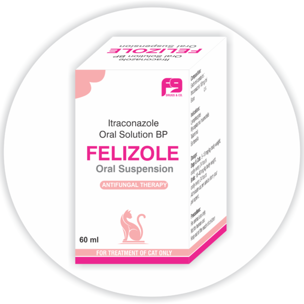 Felizole