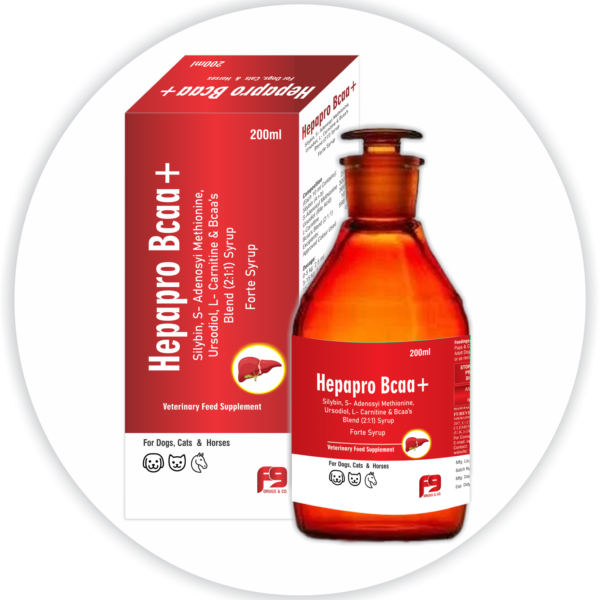 Hepapro Bcaa