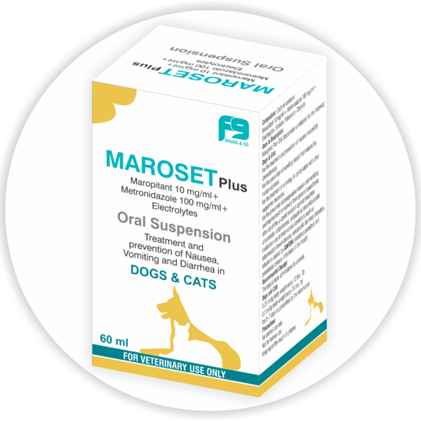 MAROSET PLUS