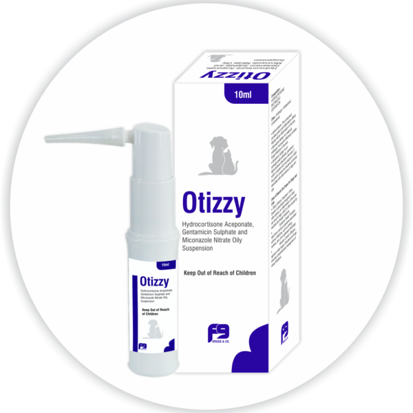Otizzy